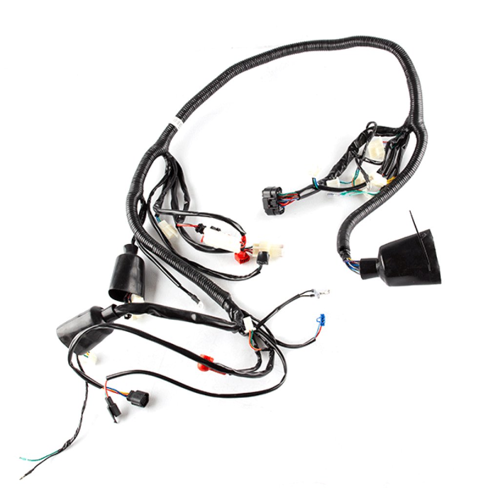 Wiring Loom