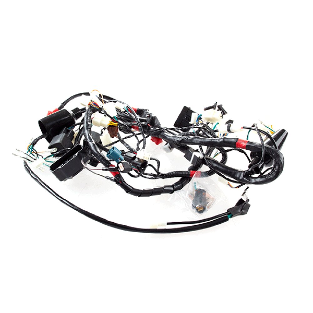 Wiring Loom 2