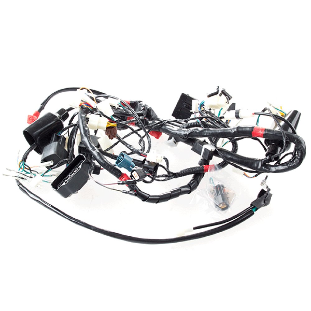 Wiring Loom