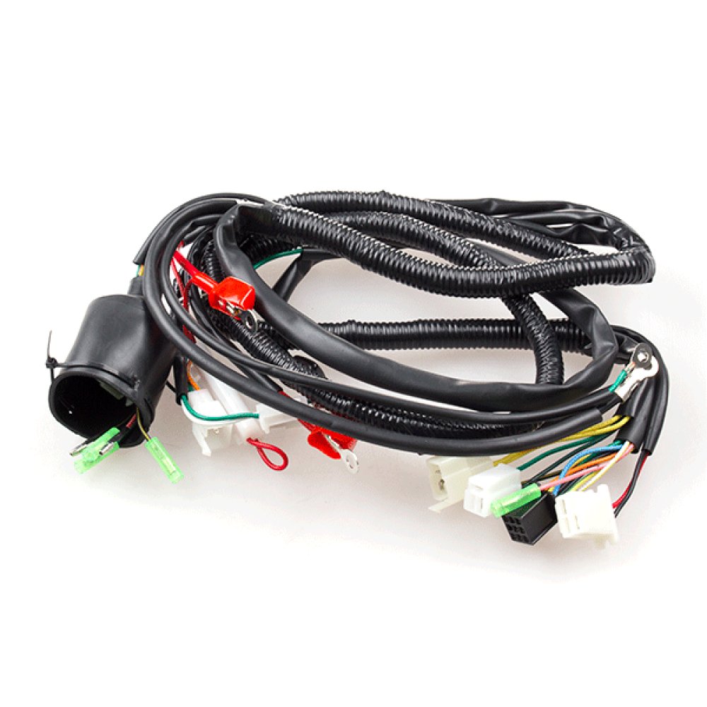 Wiring Loom