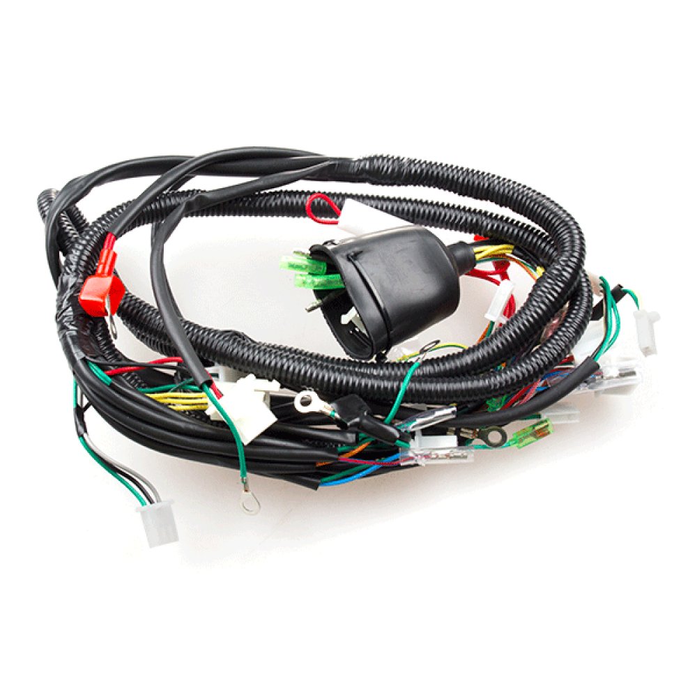 Wiring Loom