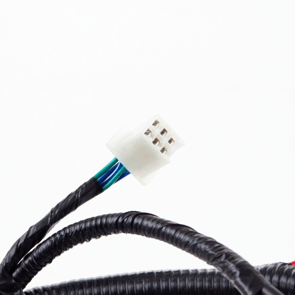 Fuel Injection Wiring Loom 3