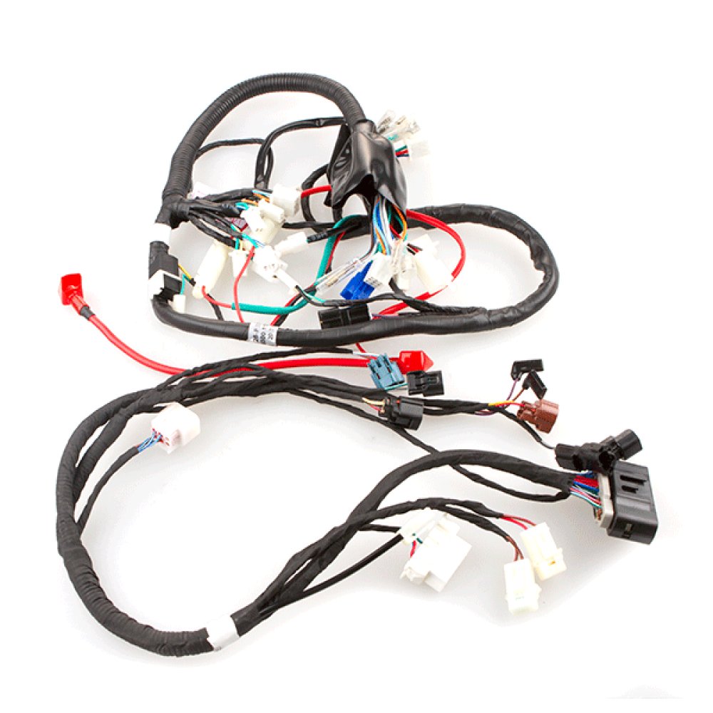 EFI Wiring Loom 2