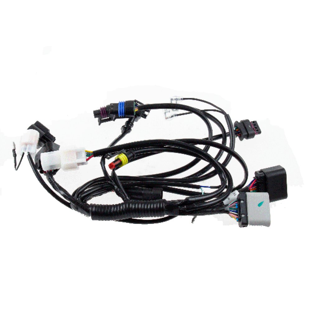 Wiring Loom 3