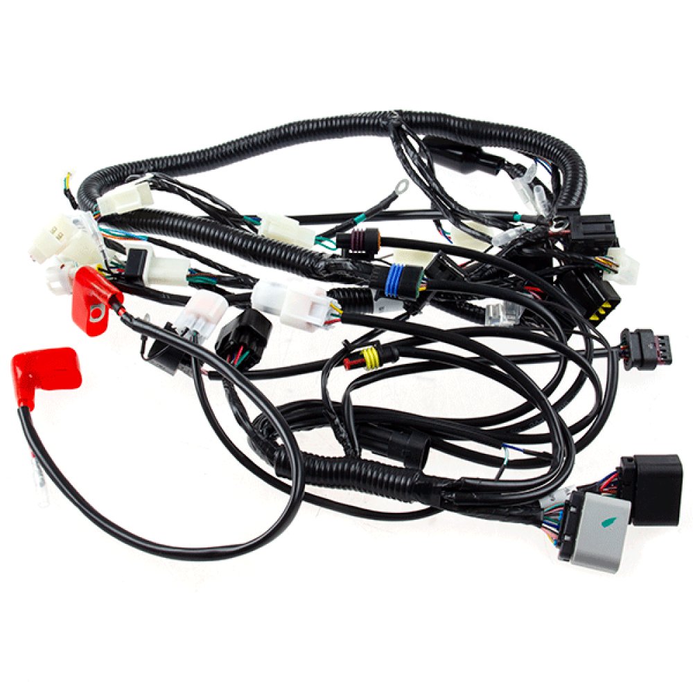 Wiring Loom