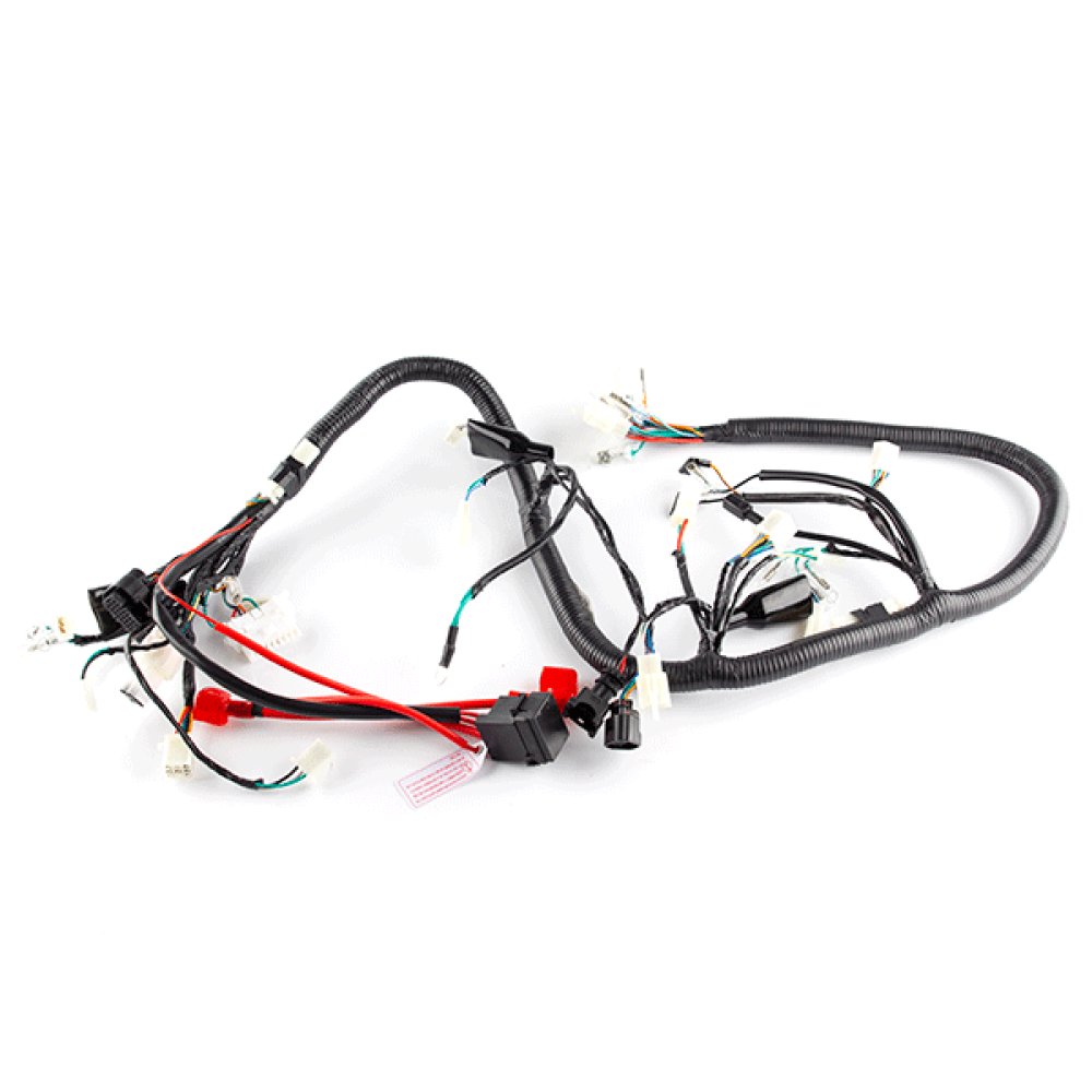 Wiring Loom