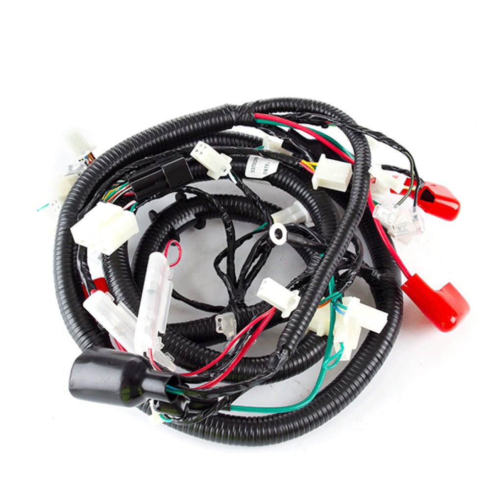 Wiring Loom