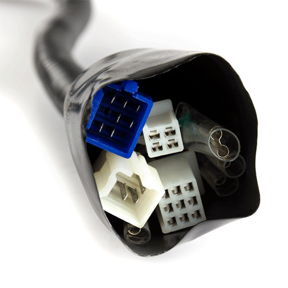 Wiring Loom 2