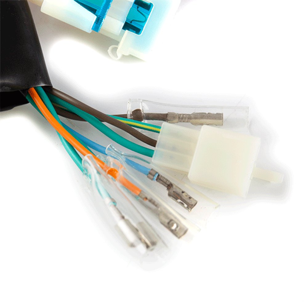 Wiring Loom 3