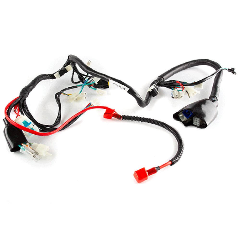 Wiring Loom
