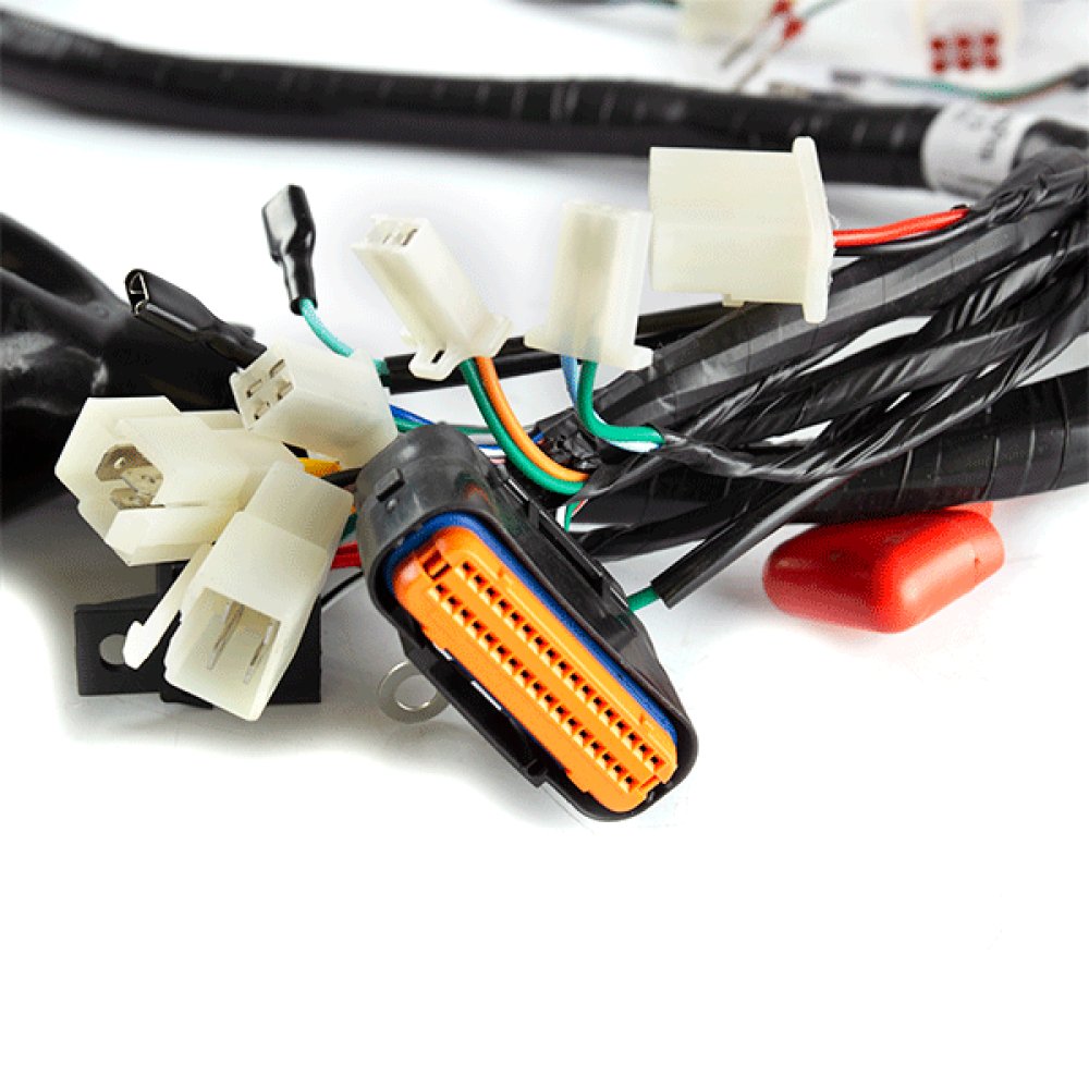 Wiring Loom 2