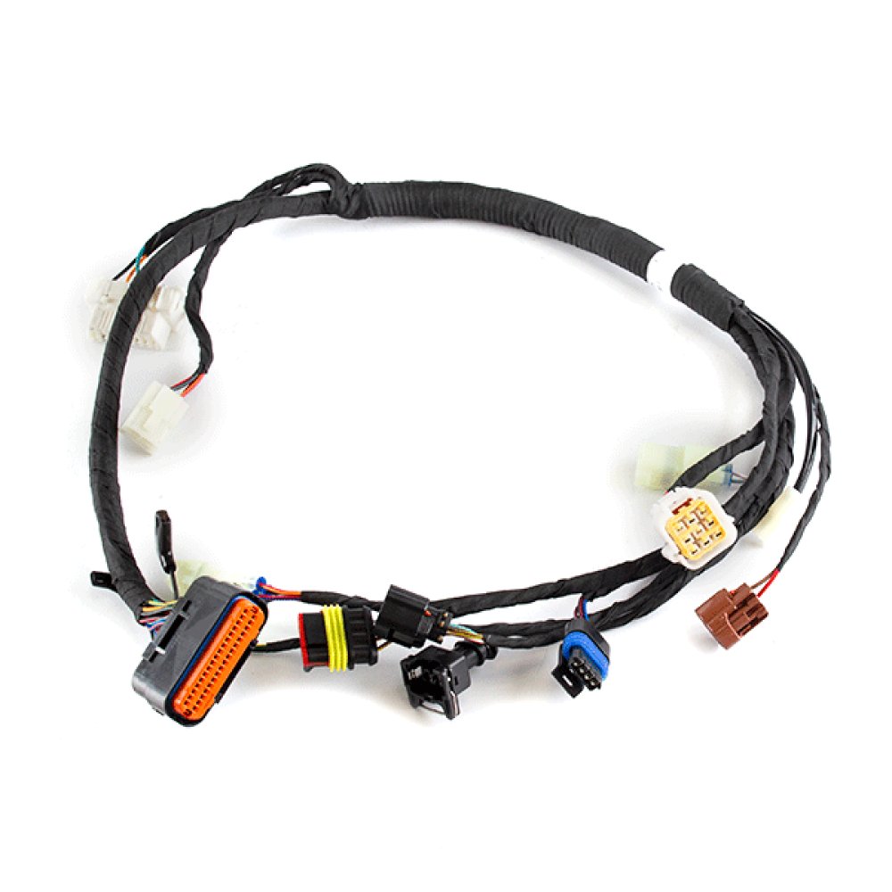 Secondary EFI Wiring Loom