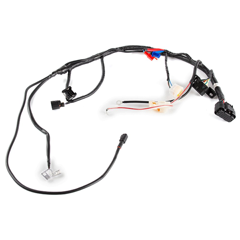 Fuel Injection Wiring Conversion Loom 2