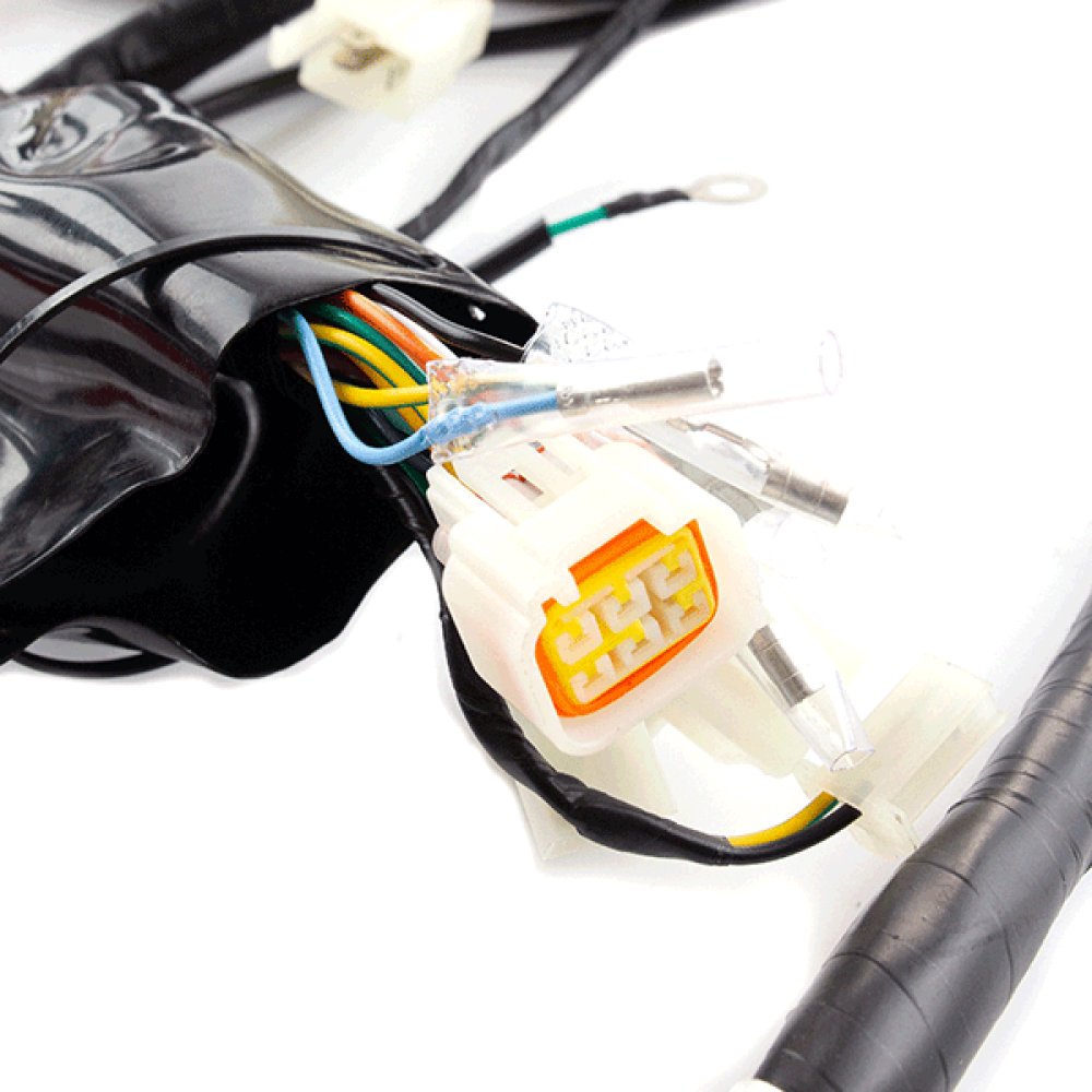 Wiring Loom 2