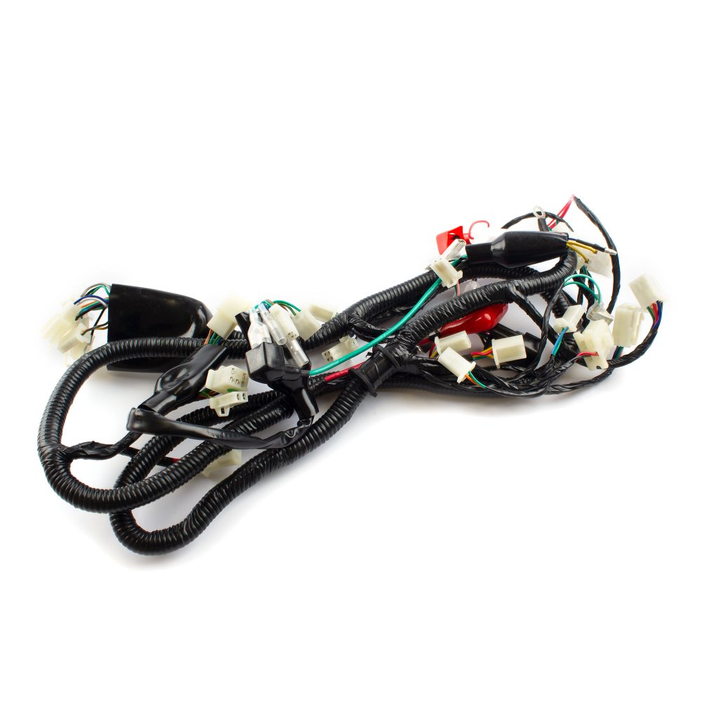 Wiring Loom 2