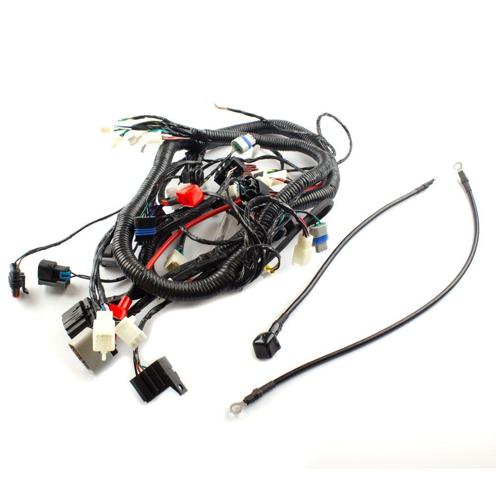 Wiring Loom 2