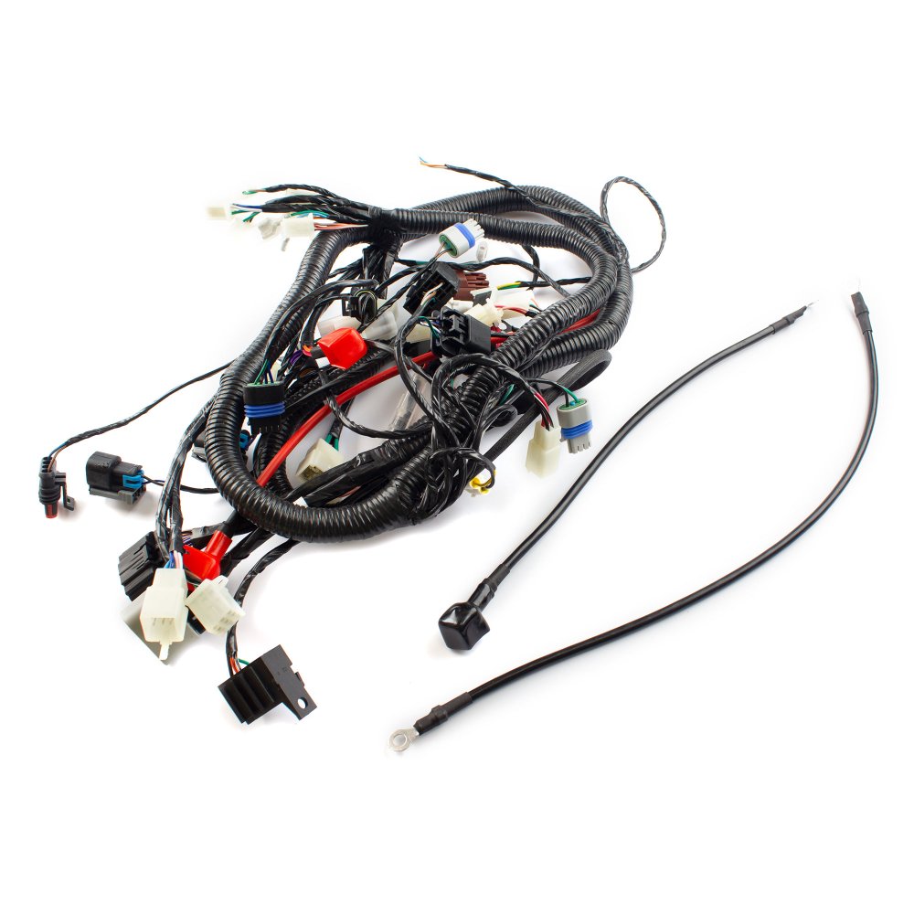 Wiring Loom