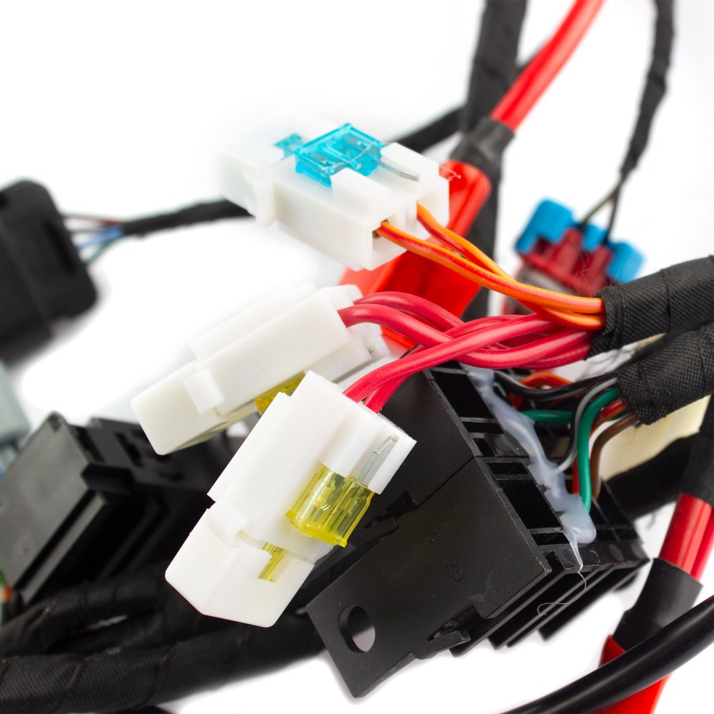 Double Plug ECU Wiring Loom 2