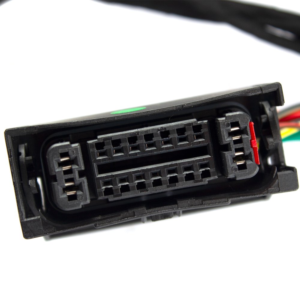 Double Plug ECU Wiring Loom 3