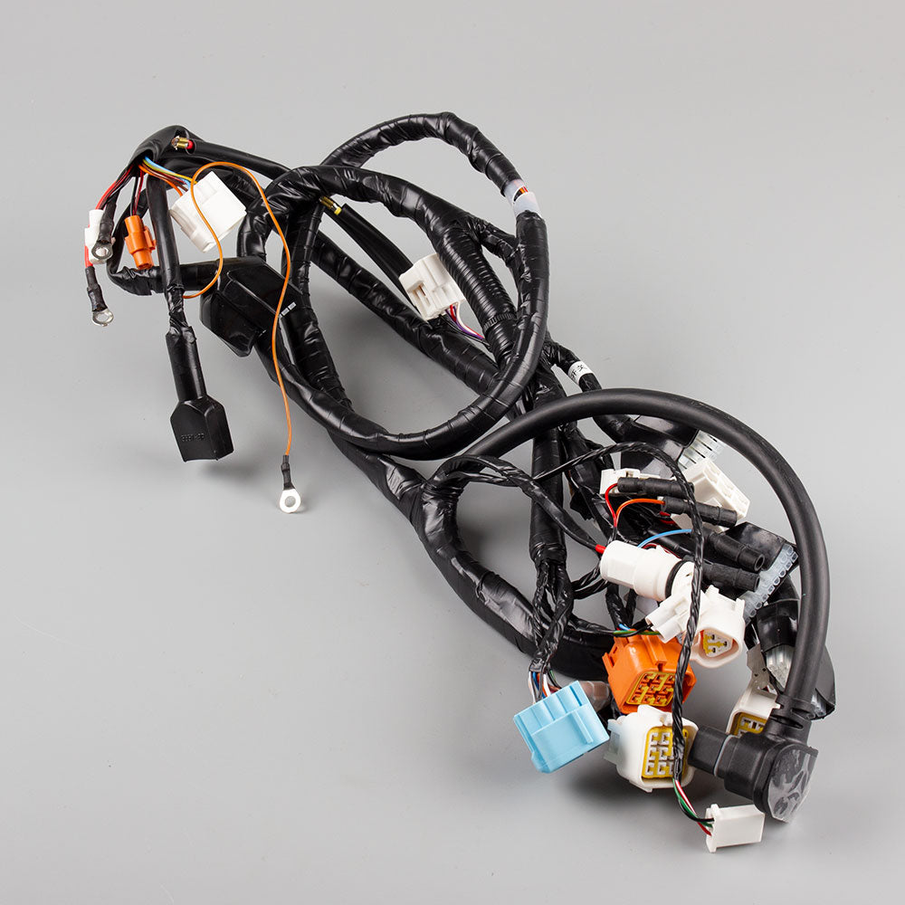 Wiring Loom