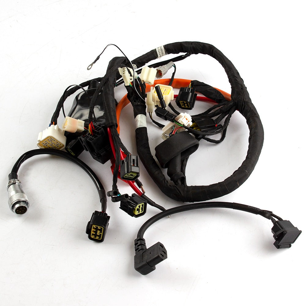 Wiring Loom