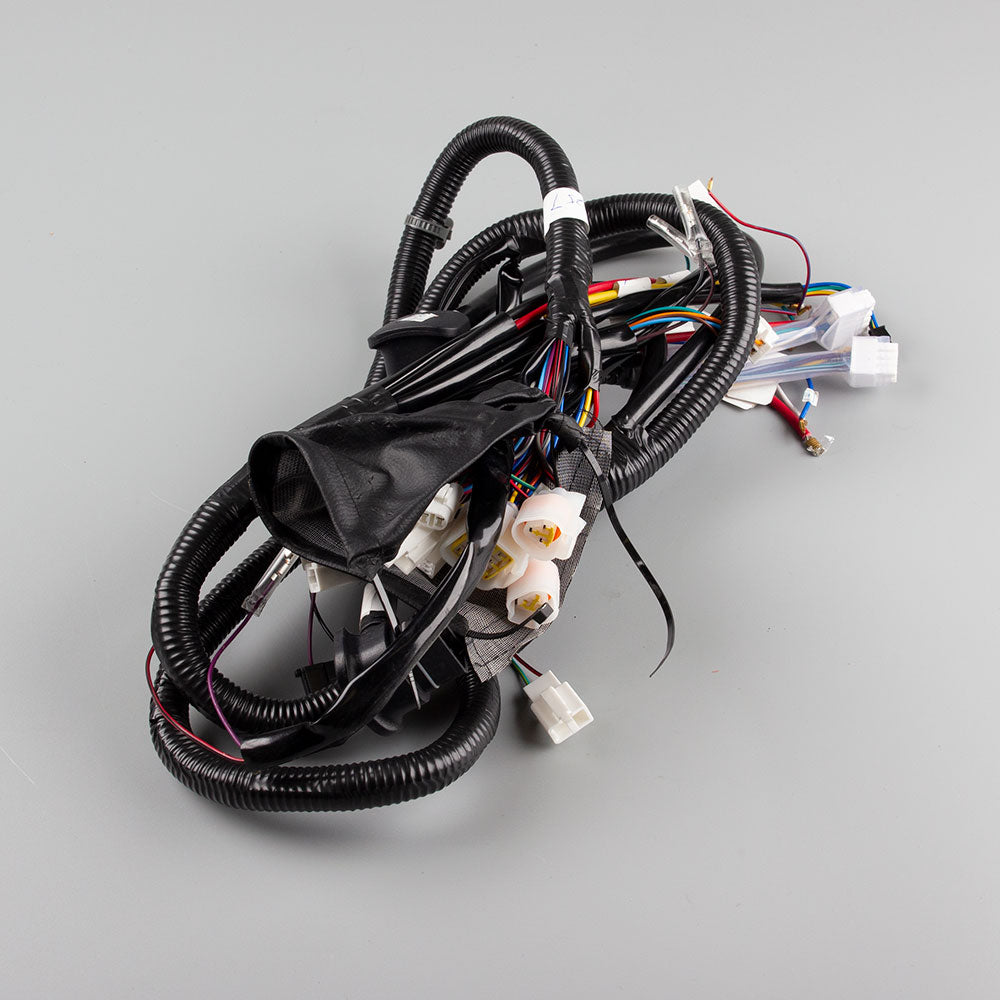 Wiring Loom