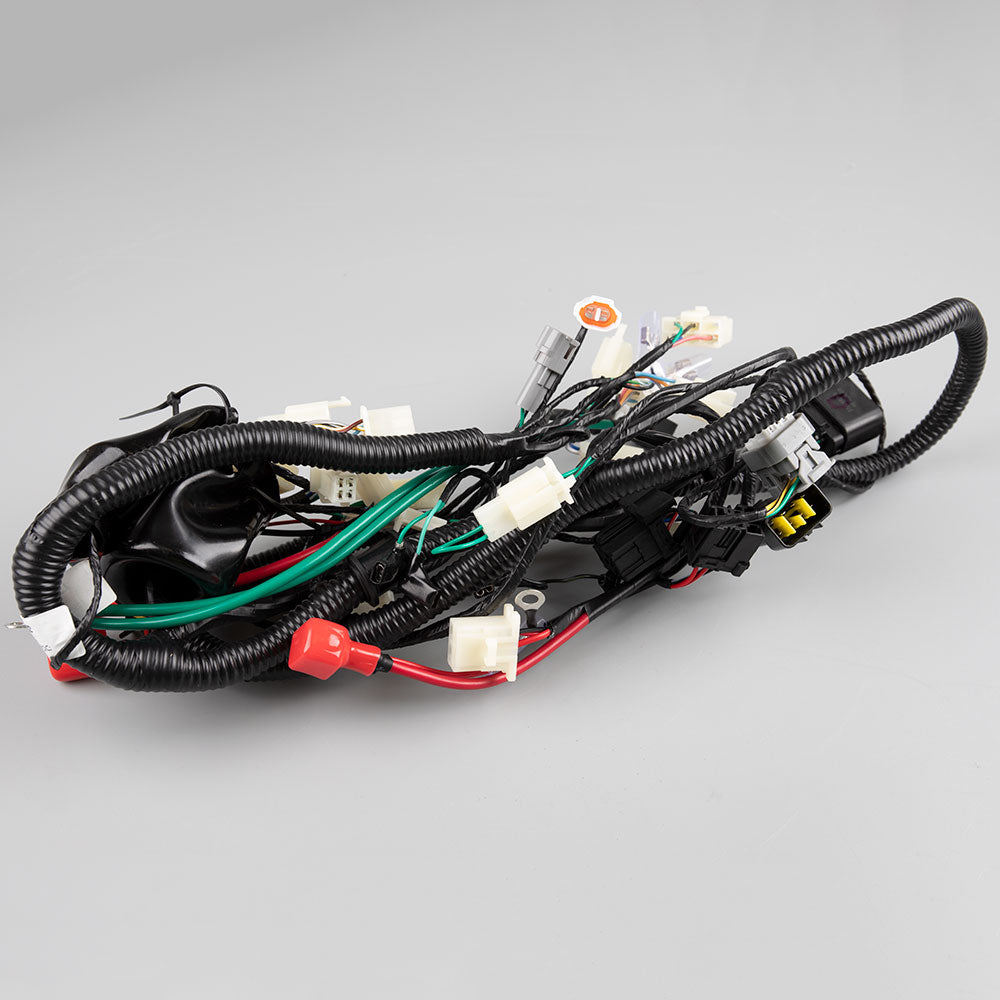 Wiring Loom (Main) 2
