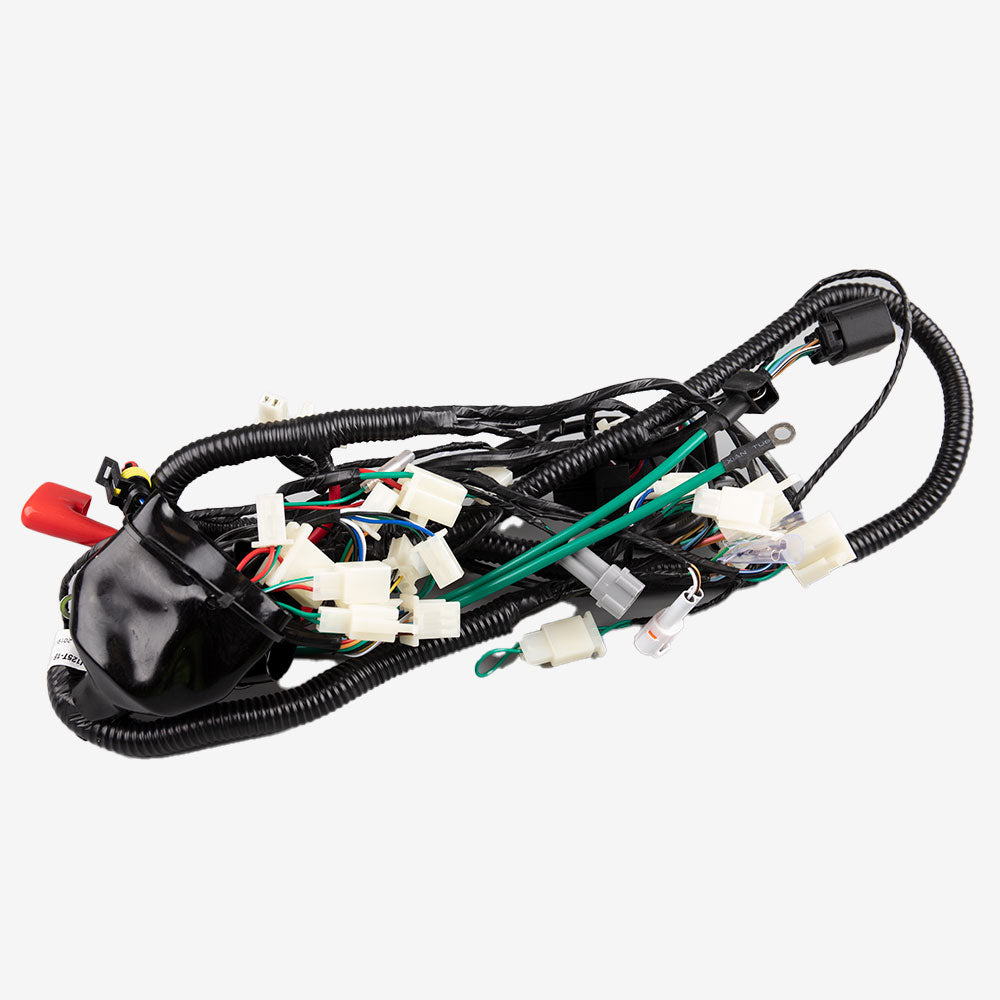 Wiring Loom (Main)