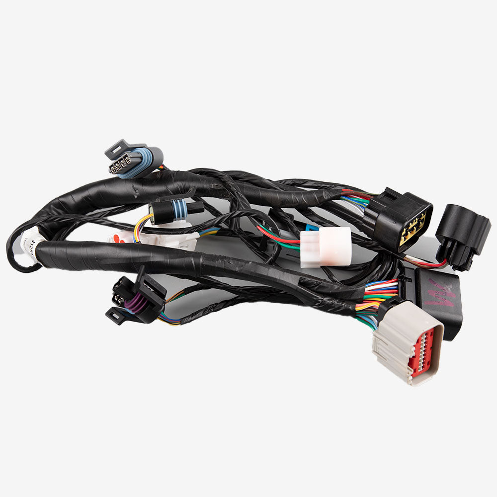 Wiring Loom (EFI)