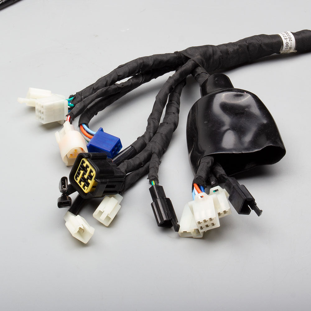 Wiring Loom 2