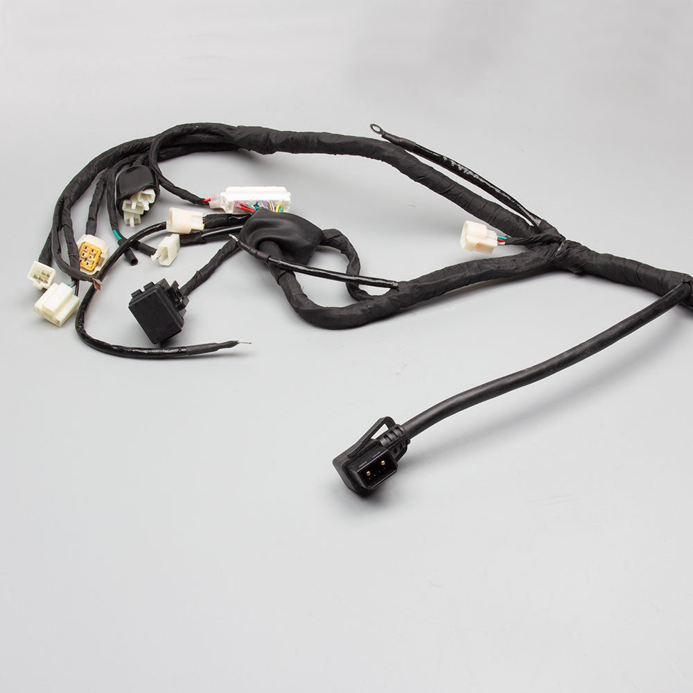 Wiring Loom 3