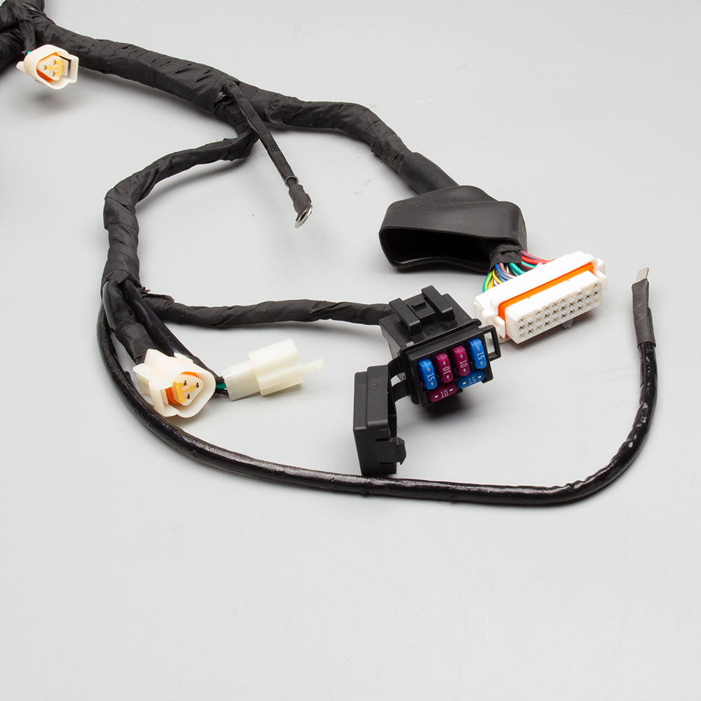 Wiring Loom 4