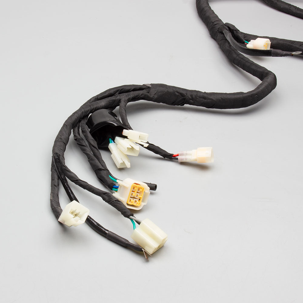 Wiring Loom 5