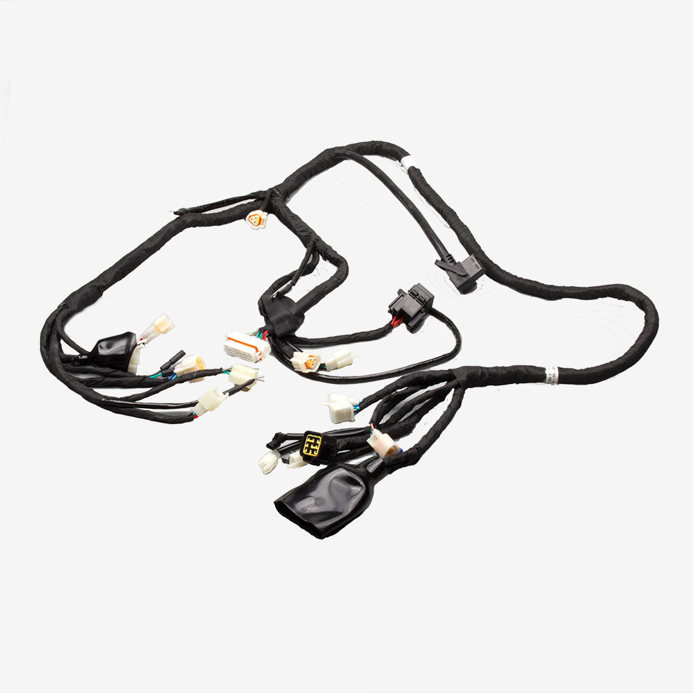 Wiring Loom