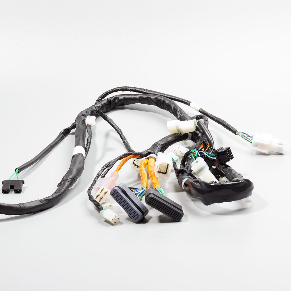 Wiring Loom 4