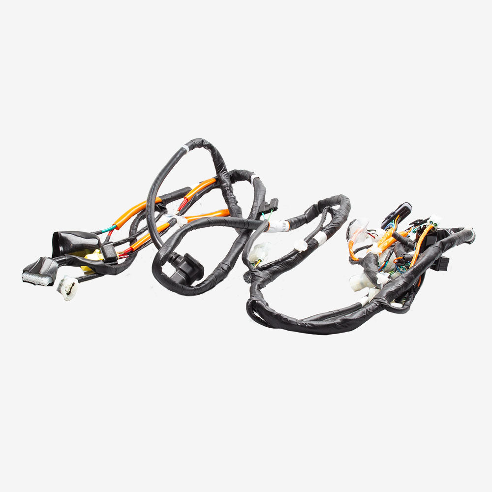Wiring Loom