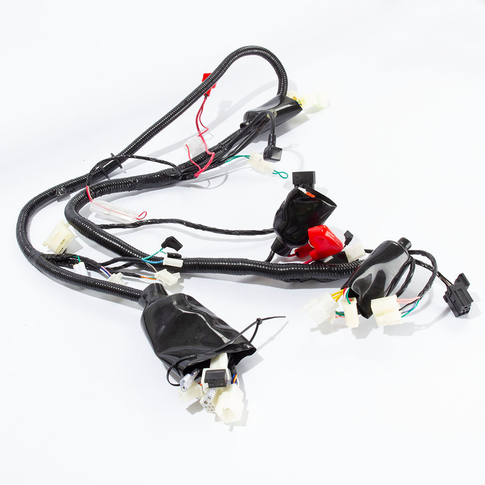 Wiring Loom E5