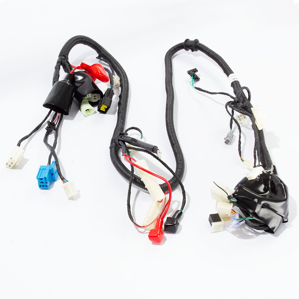Wiring Loom