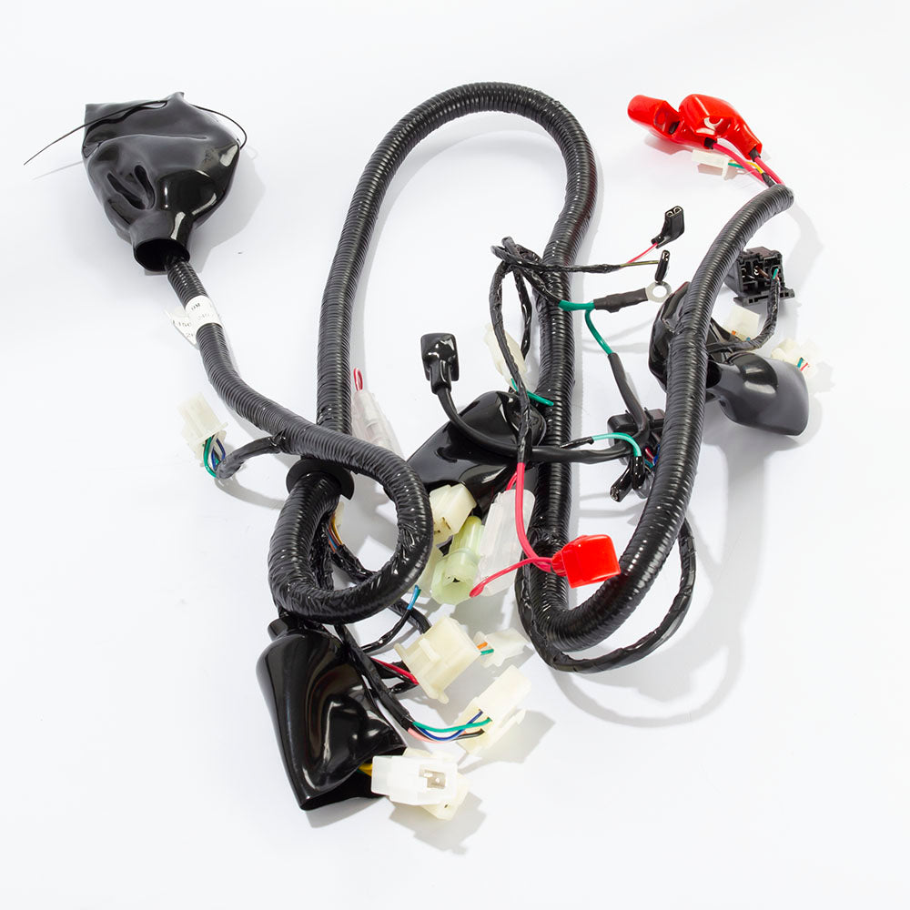 Wiring Loom