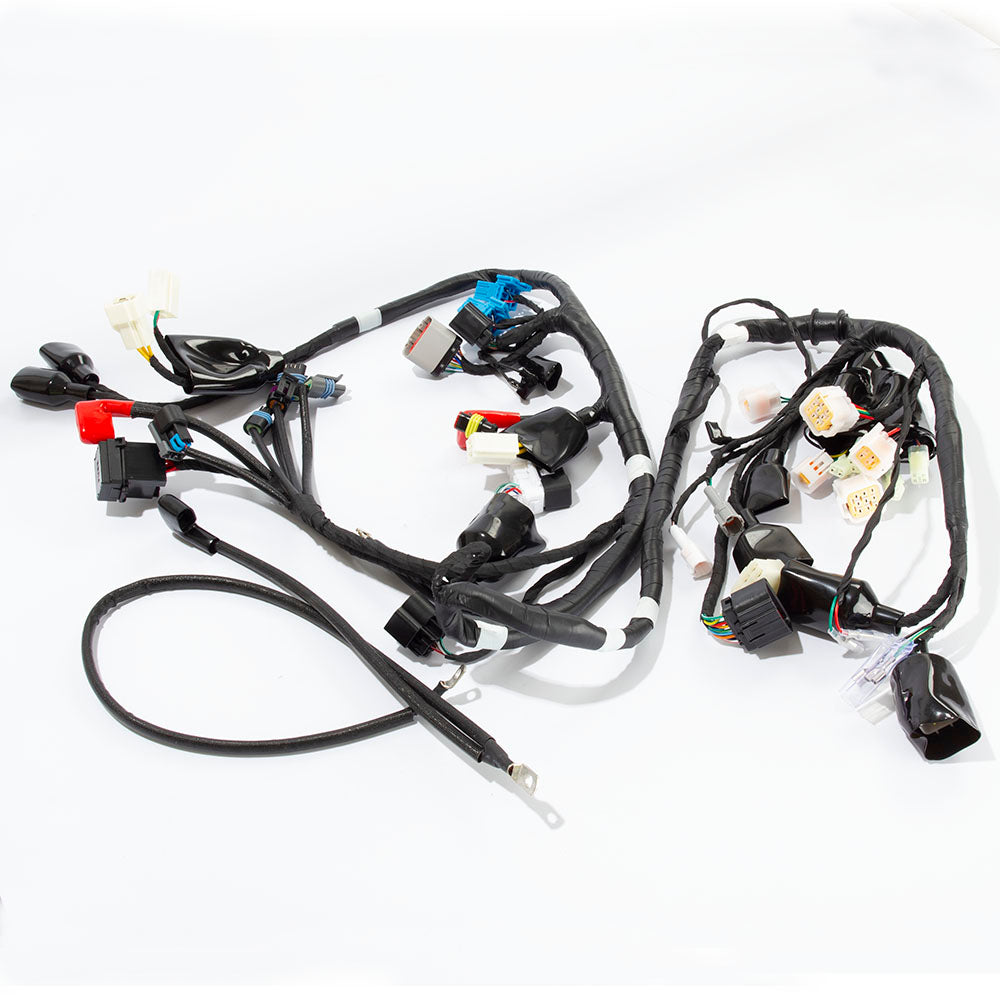 Wiring Loom