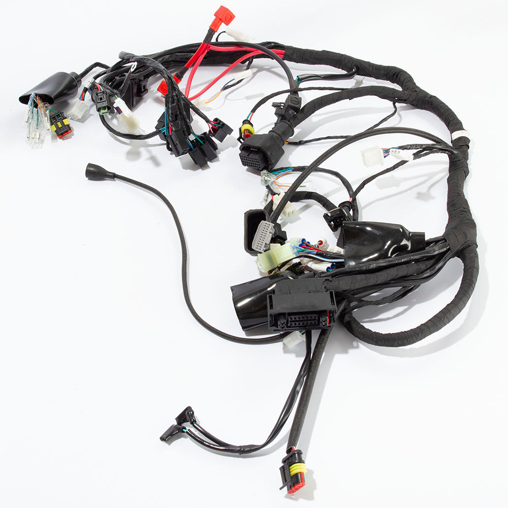 Wiring Loom