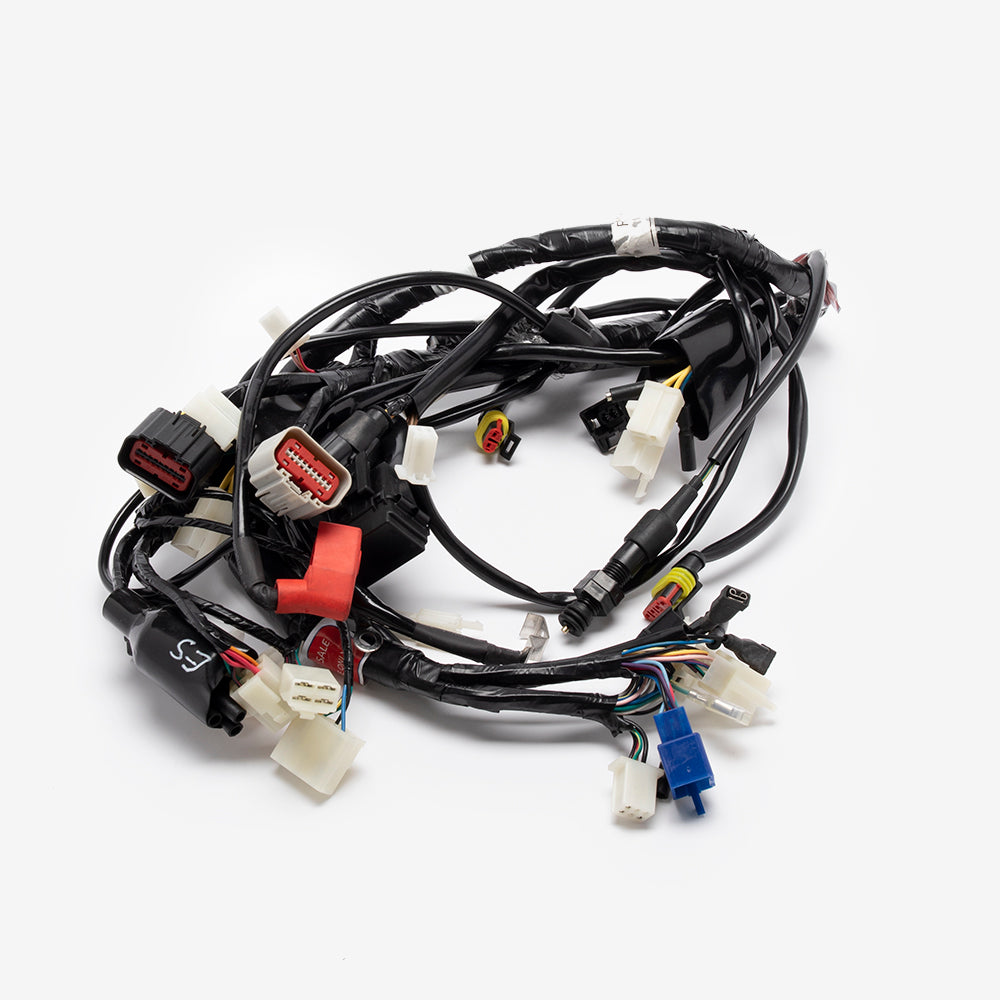 Wiring Loom
