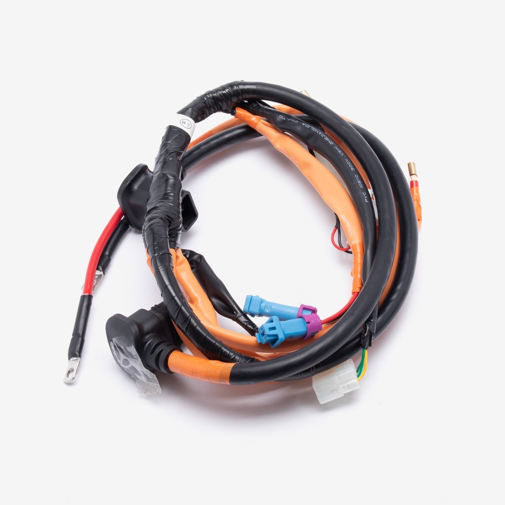 Wiring Loom 2