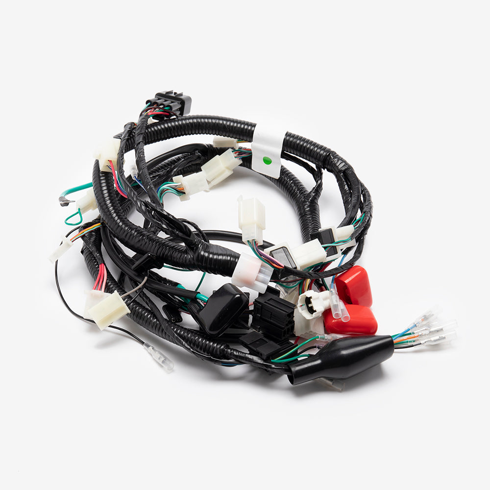 Wiring Loom