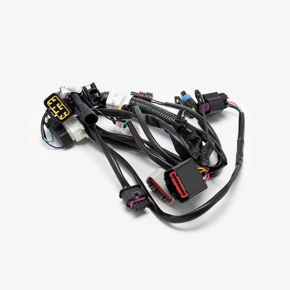 Wiring Loom