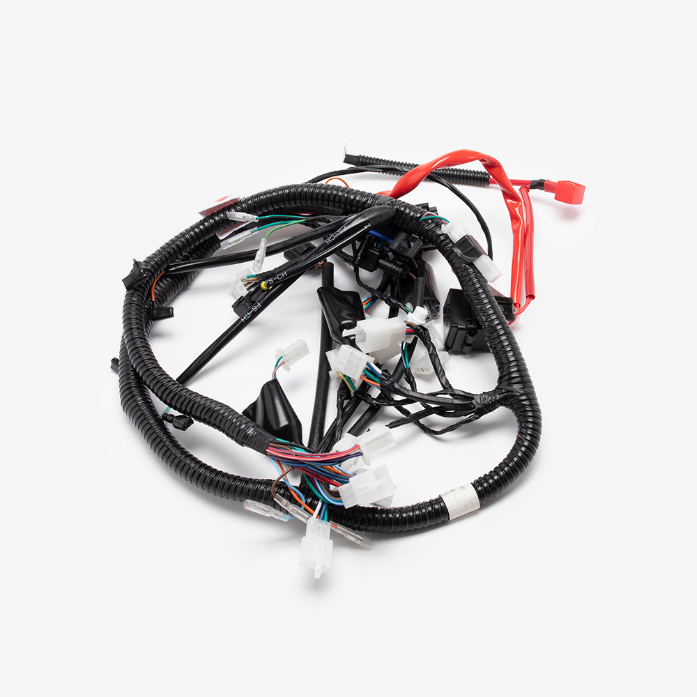 Wiring Loom