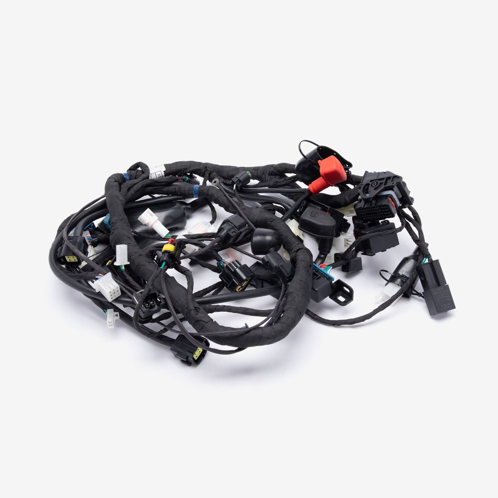 Wiring Loom
