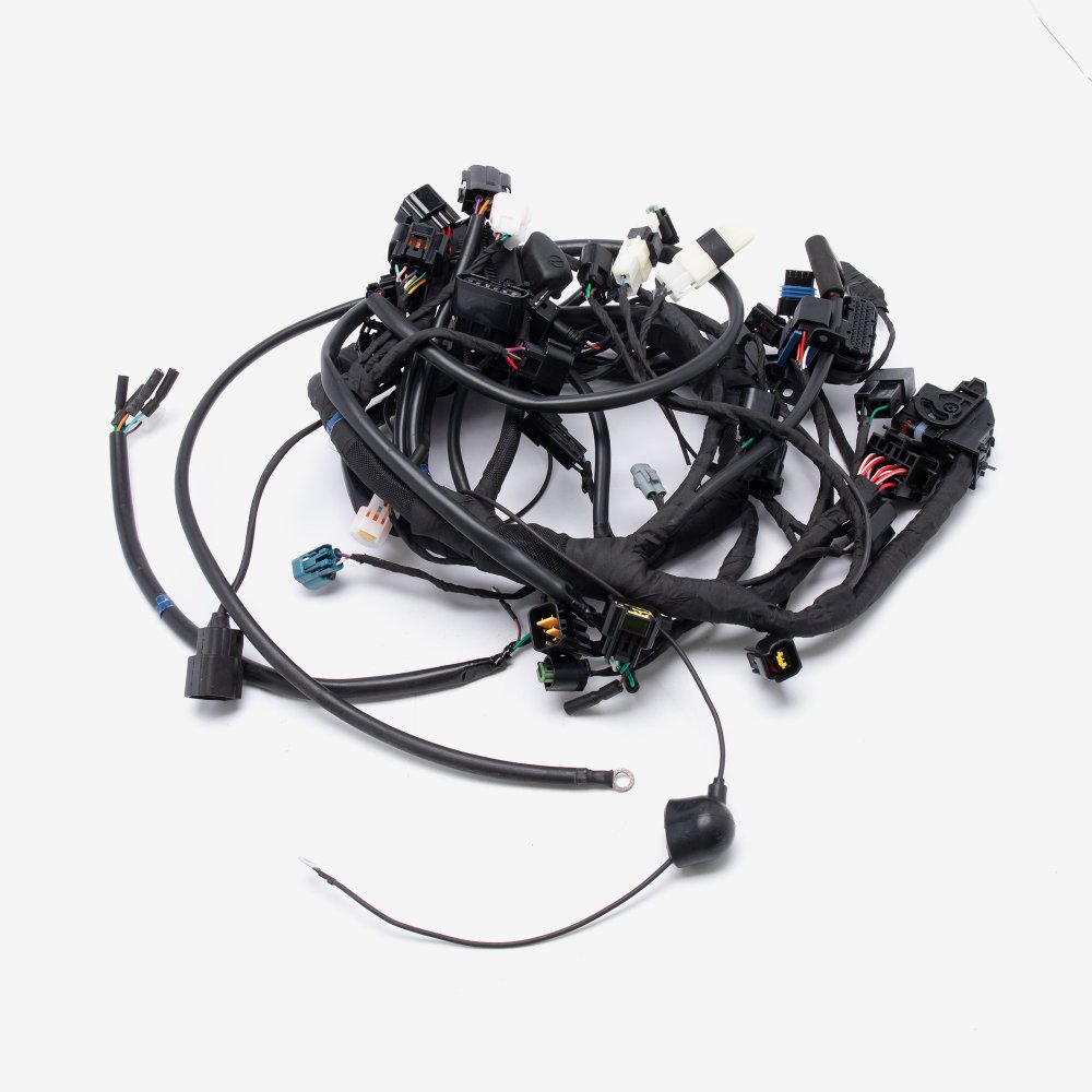 Wiring Loom 2