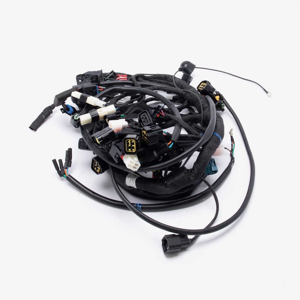 Wiring Loom