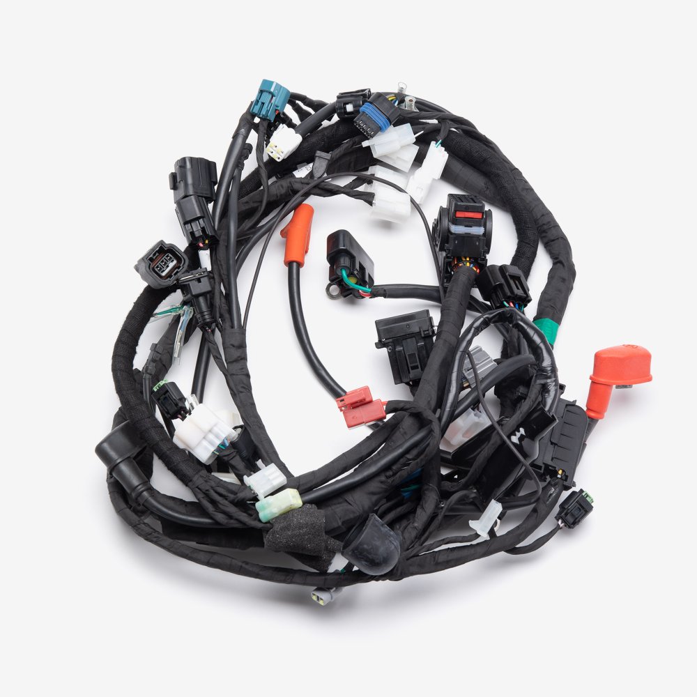 Wiring Loom